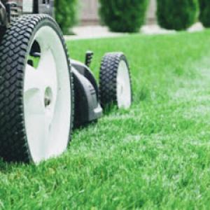 R&J Professional Lawn Care Services