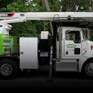 Connecticut Tree Service of Naugatuck
