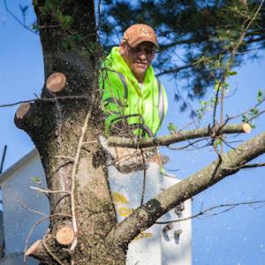 Cross Cut Tree Services & Landscaping