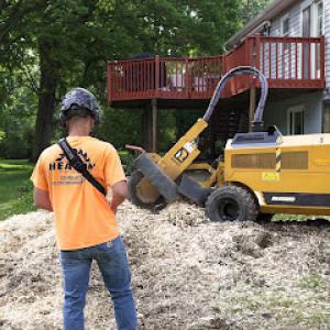 Heaton Stump Grinding