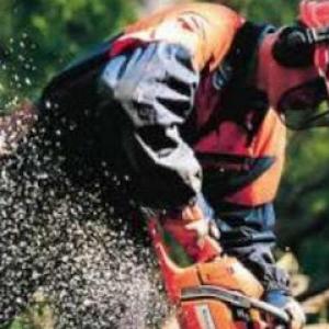 Efficiency Tree Service