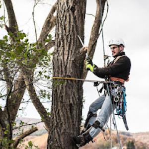 Jerry's Tree Service