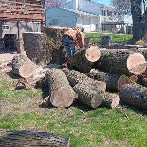 Lawn Ranger Yard & Tree Service