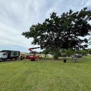 Groskey's Tree Service