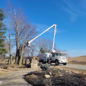 Clark Tree Service
