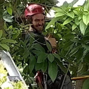 Arbo Lo co. Tree Care