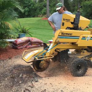 Kat Tale Tree Trimming