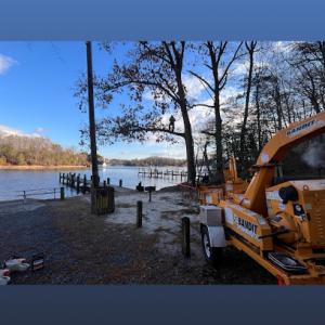 Independent Tree Care