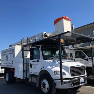 Superior Tree Service