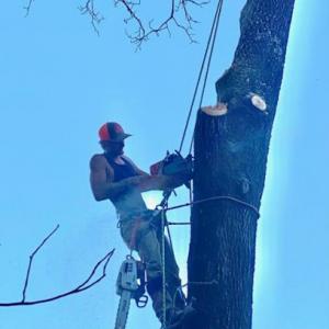 Complete Tree & Land Services