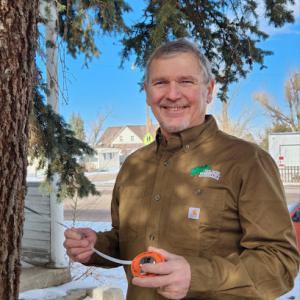 Nelson Forestry Tree Health Care