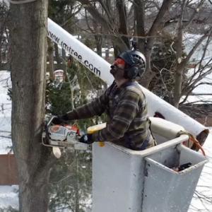 J.M. Tree Service