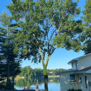 Hattery's Tree Service