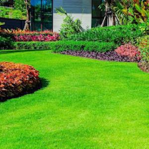 Nitro Green Professional Lawn & Tree Care