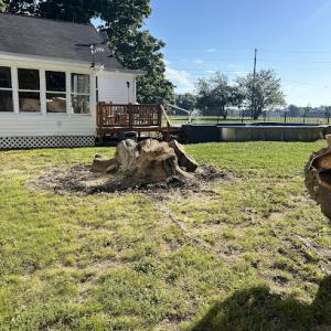Old Mackey’s Stump Grinding & Tree Service