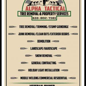 Alpha Tactical Tree Removal & Property Services