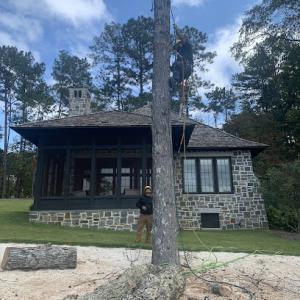 Chambers Chains Tree Service