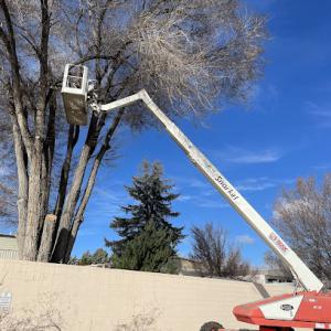 Flexible Solutions Land Management