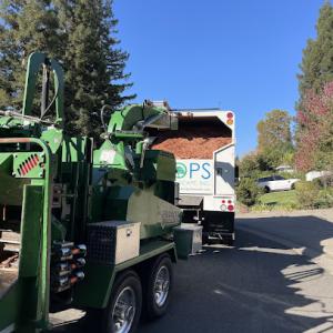 Props Tree & Landscape