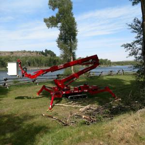 Fernridge Tree Service