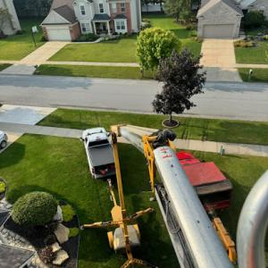 Wright Tree Removal, Stump Grinding & Snow Plowing