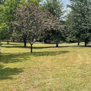 Clean & Cut Residential Services