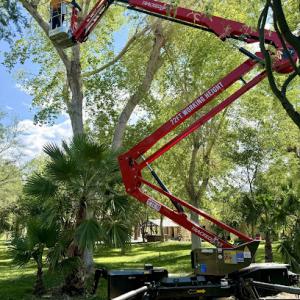 Desert Canopy Tree Service