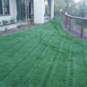 Ramirez Landscaping Concrete & Maintenance