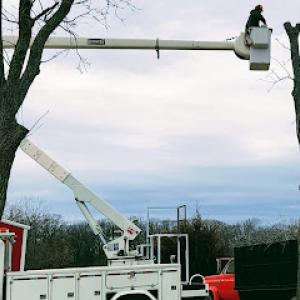 Chase's Tree Solutions