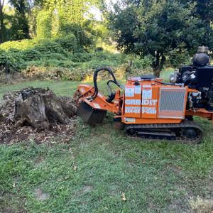 GRIND IT Stump Removal