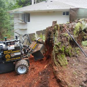 Brett's Stump Grinding