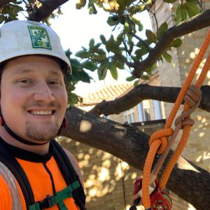 Century Tree Care