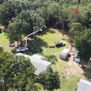 Hills Tree & Lawn Service