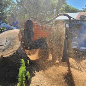Jayroe's Stump Grinding - Slidell