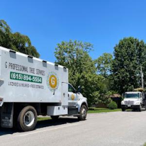 G Professional Tree Service