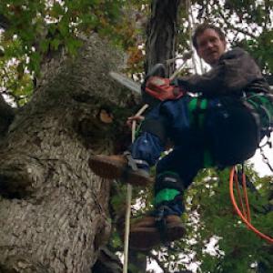 TimberJack Tree Care & Property Management