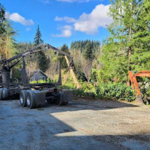 Stanwood - Justin's Tree Service