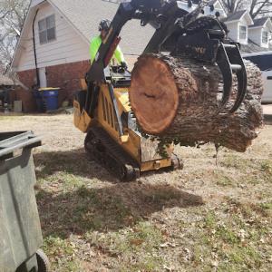 Eshleman Tree Care