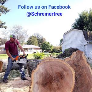 Schreiner's Tree Service