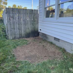 Grand Traverse Stump Grinding