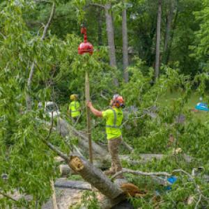 Kevin's Tree Service