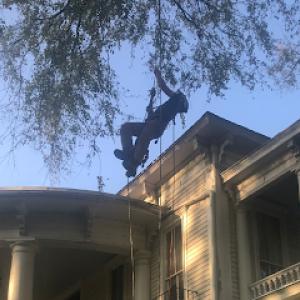 Sunnybrook Tree Service