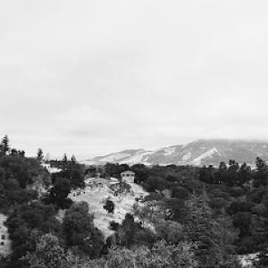 Clarke’s Tree Service