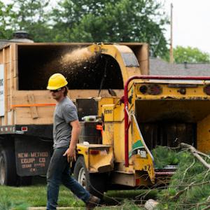 West Central Tree Service