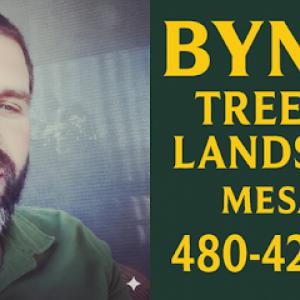 Bynum Tree & Landscape