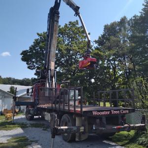 Wooster Tree Service & Certified Arborist