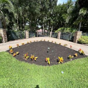 Tyger’s Lawn & Tree service