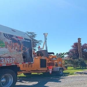 Trickinnex Tree Trimming & Falling