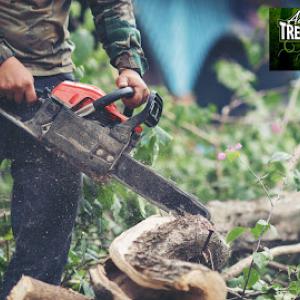 Advanced Tree Service