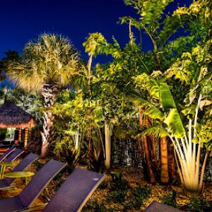 Golden Hour Landscaping